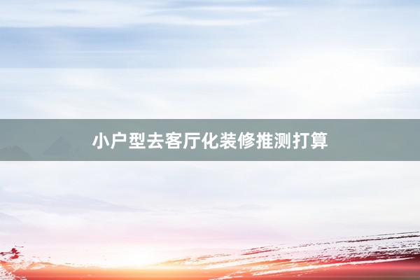 小户型去客厅化装修推测打算