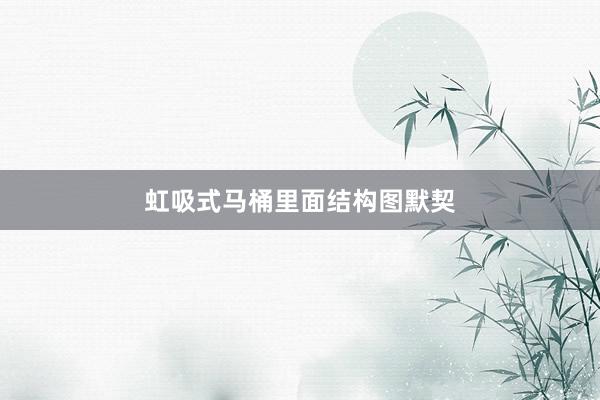 虹吸式马桶里面结构图默契
