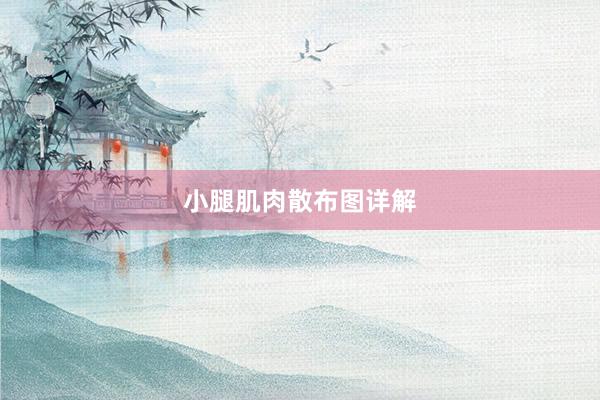 小腿肌肉散布图详解