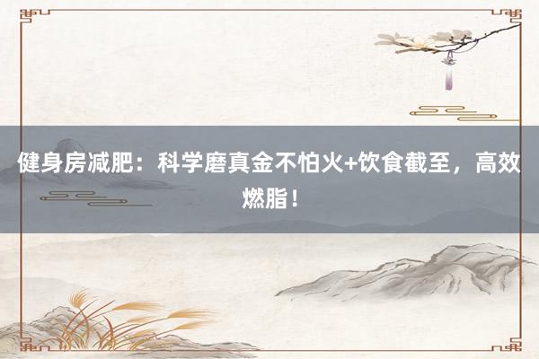 健身房减肥：科学磨真金不怕火+饮食截至，高效燃脂！